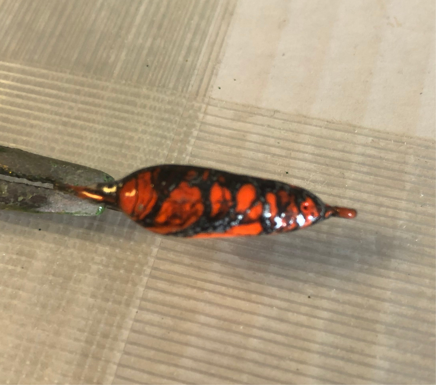 1/8oz widow minnow