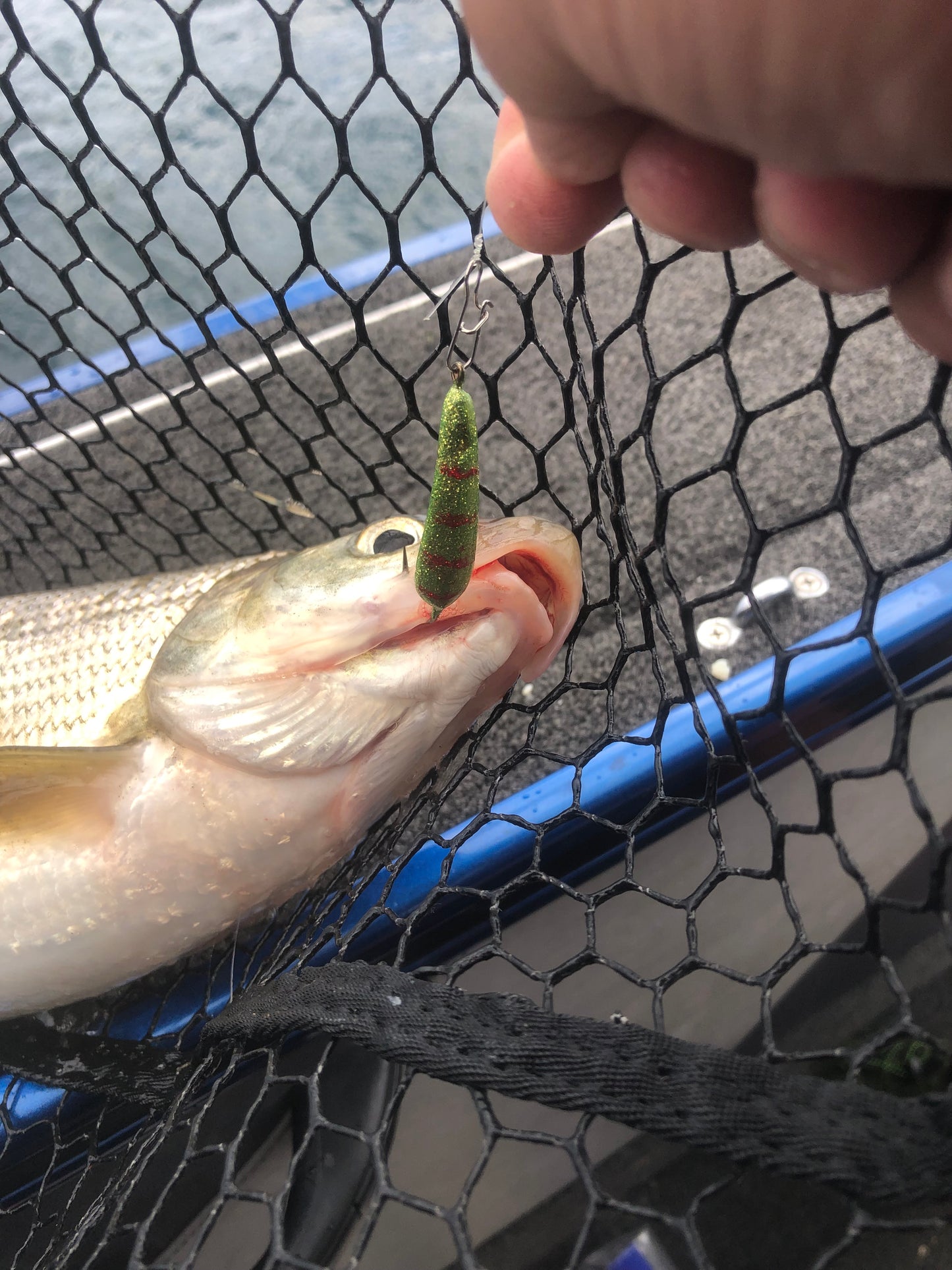 3/8oz Disco perch Widow Minnow