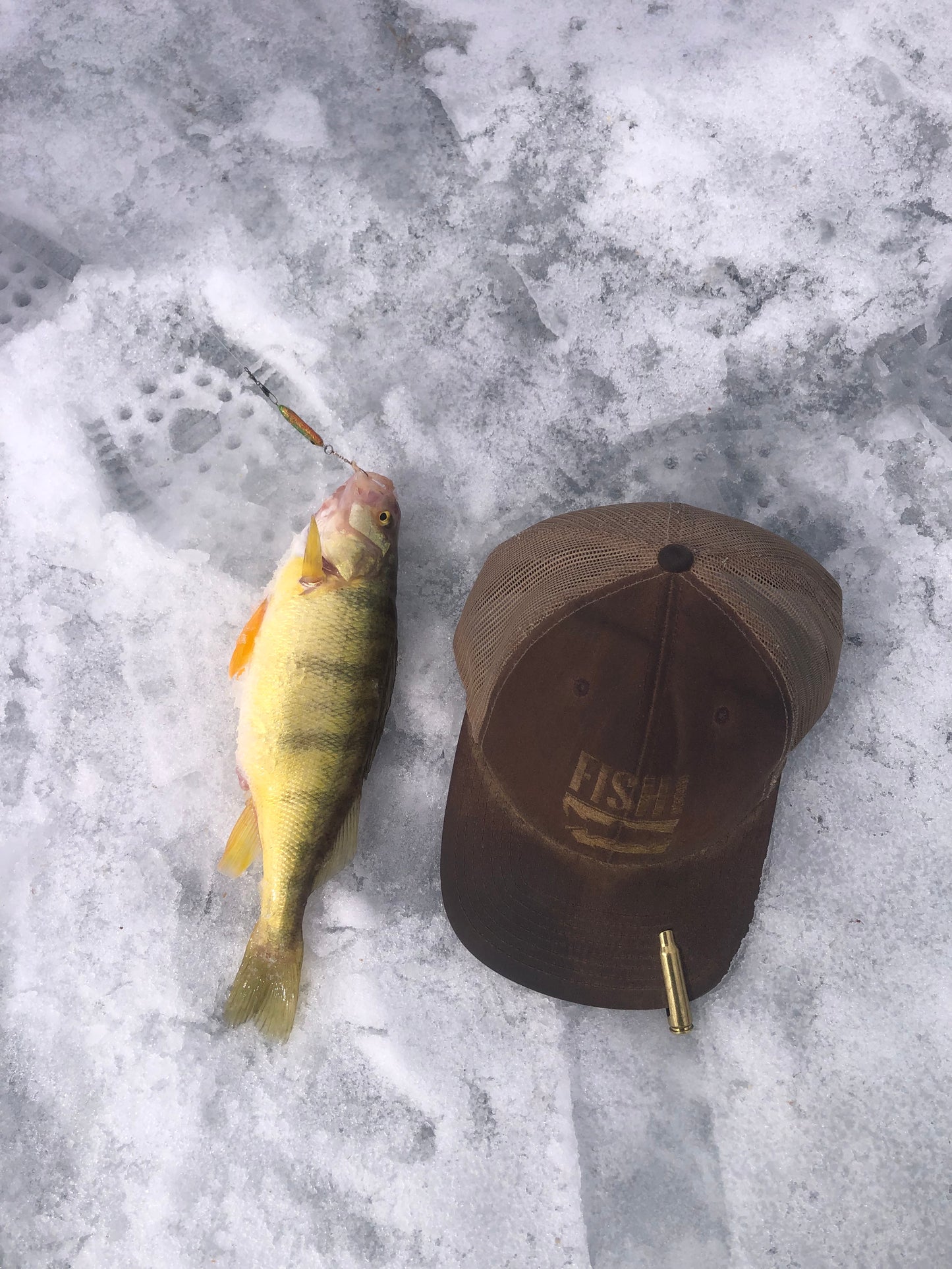 Cascade Dragon slayer disco perch